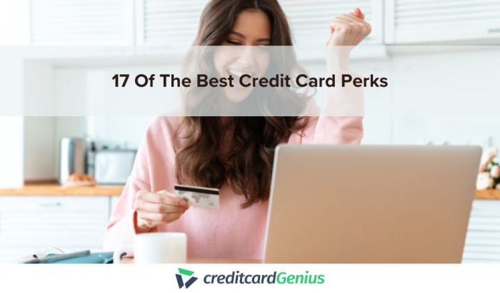 17 Of The Best Credit Card Perks | creditcardGenius